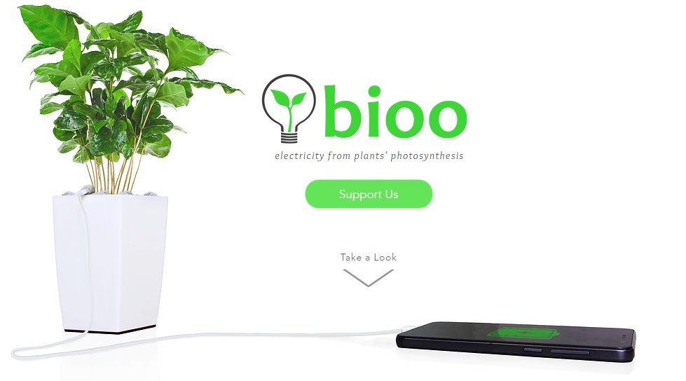 bioo plant.